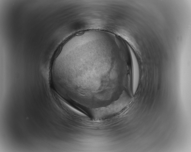 X0000088690156200705311203