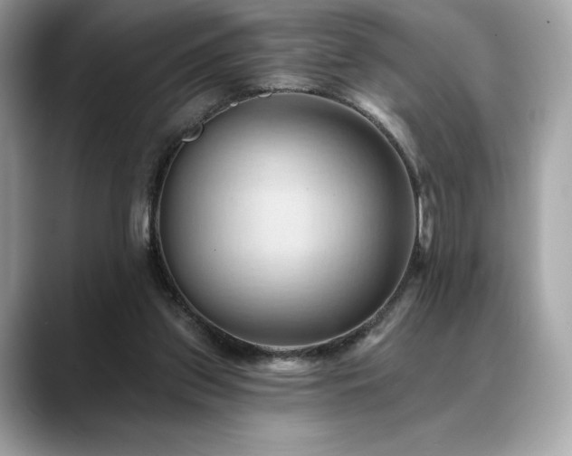 X0000088690157200705311203