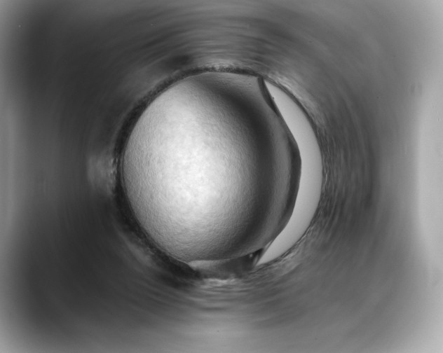 X0000088690160200705311203