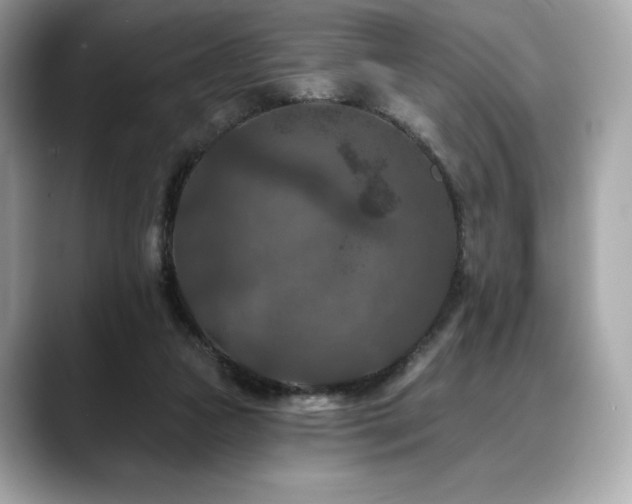 X0000088690161200705311203