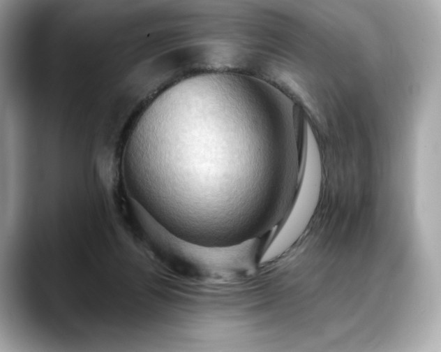X0000088690164200705311203