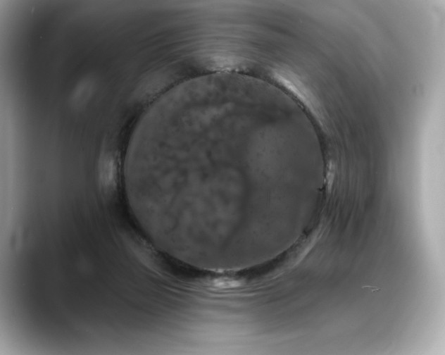 X0000088690165200705311203