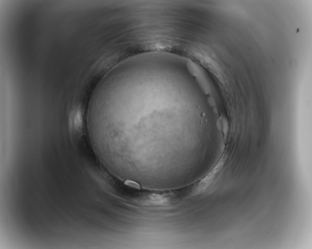 X0000088690166200705311203