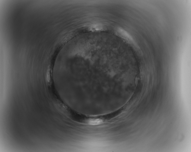 X0000088690169200705311203
