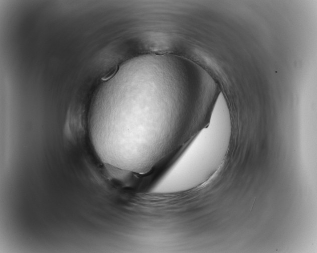X0000088690170200705311203