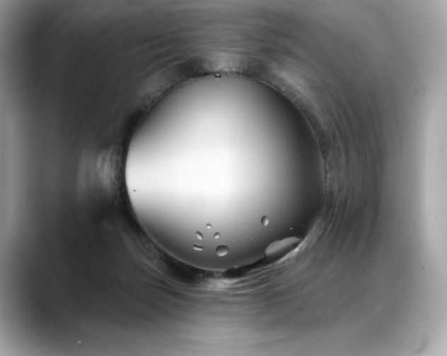 X0000088690171200705311203