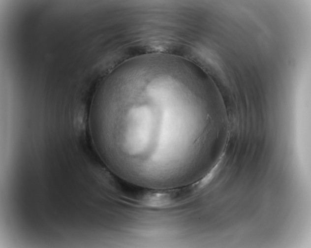 X0000088690174200705311203