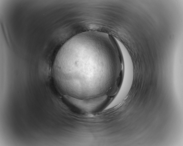 X0000088690176200705311203