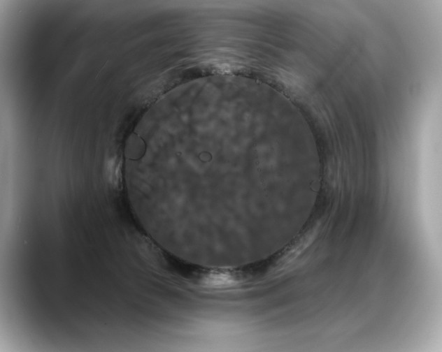 X0000088690177200705311203