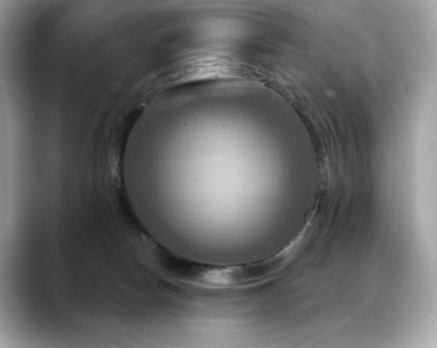 X0000088690178200705311203