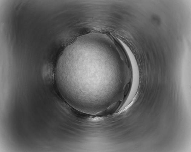 X0000088690186200705311203