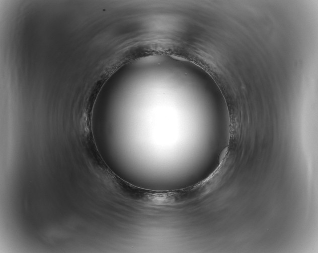 X0000088690187200705311203