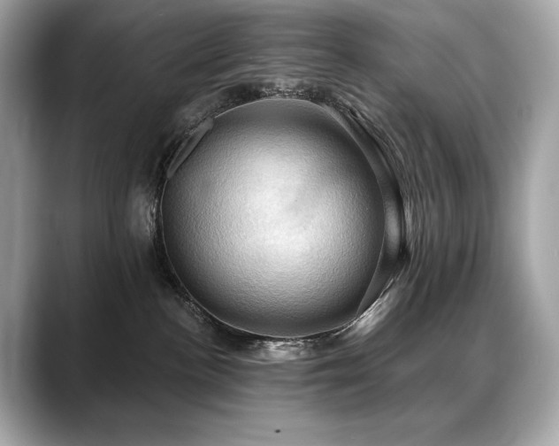 X0000088690188200705311203