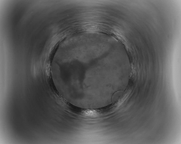 X0000088690189200705311203