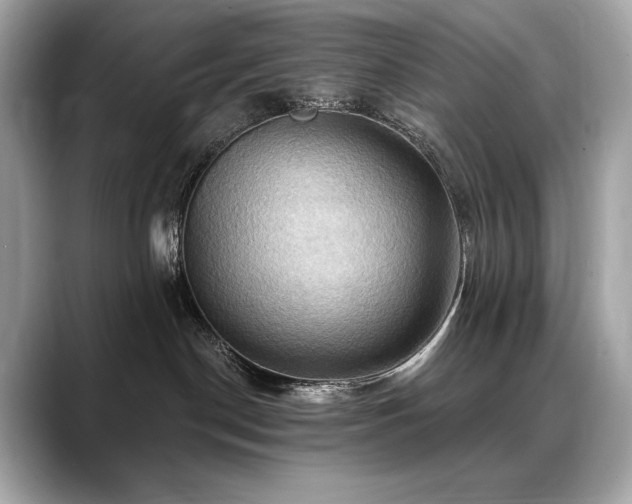 X0000088690190200705311203