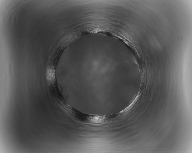 X0000088690191200705311203