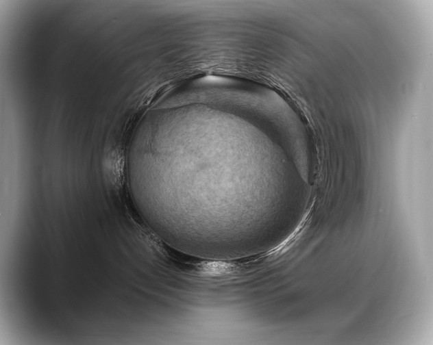 X0000088690192200705311203
