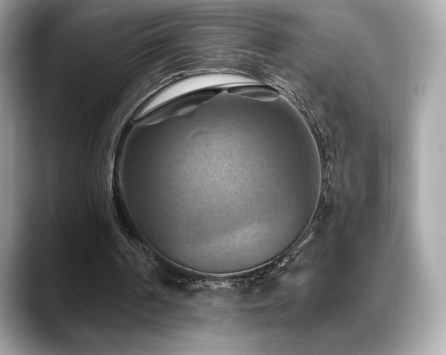 X0000088690194200705311203