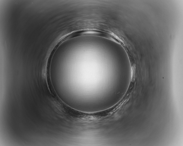 X0000088690195200705311203