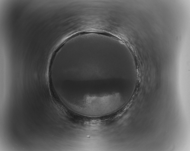 X0000088690196200705311203