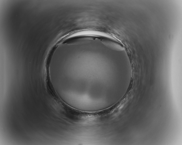 X0000088690198200705311202