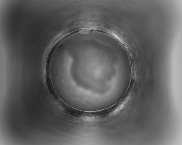 X0000088690199200705311202