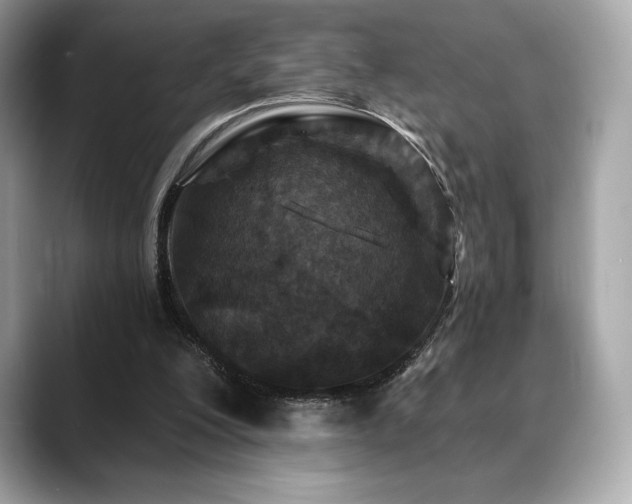 X0000088690200200705311202