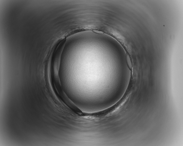 X0000088690201200705311202