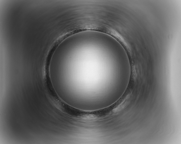 X0000088690203200705311202