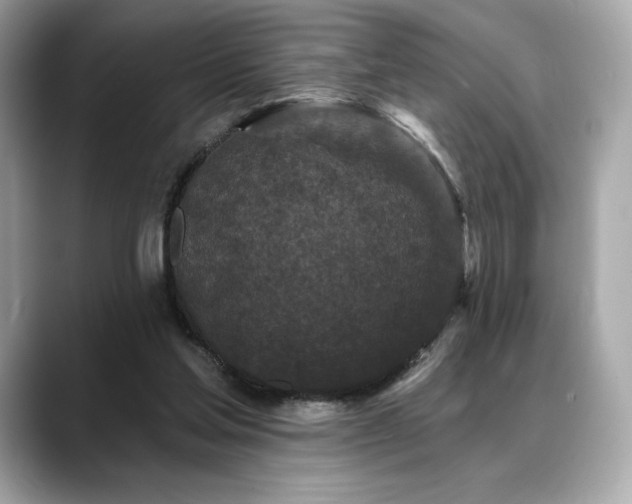 X0000088690205200705311202