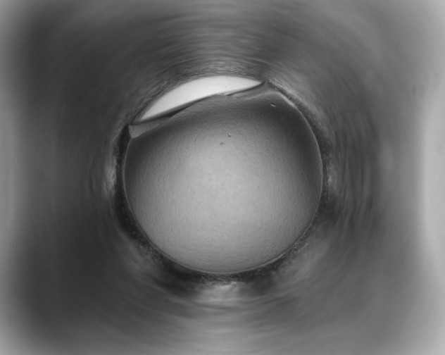 X0000088690206200705311202