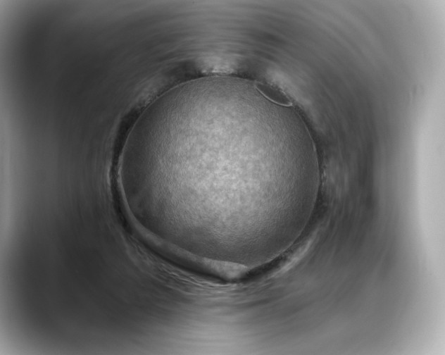 X0000088690209200705311202