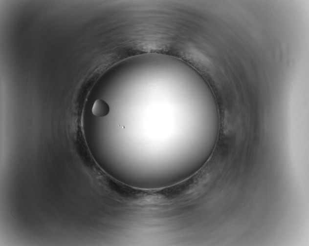 X0000088690210200705311202