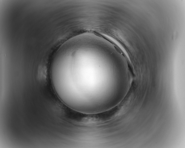 X0000088690211200705311202