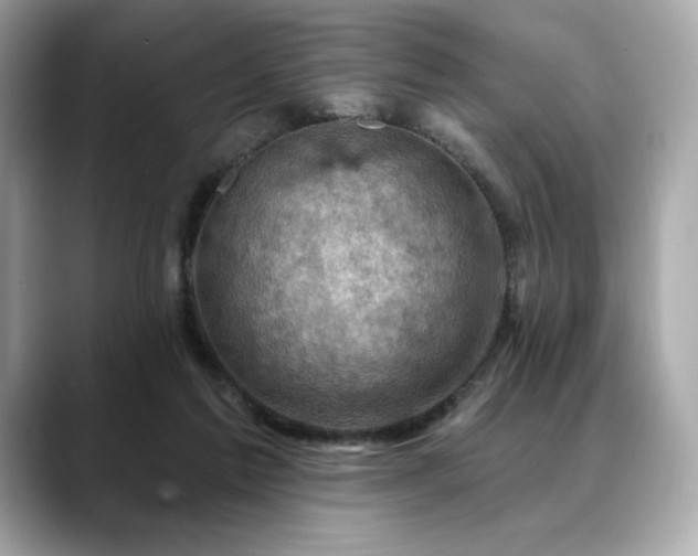 X0000088690213200705311202