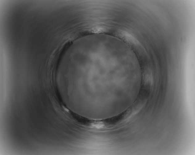 X0000088690214200705311202