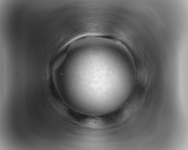 X0000088690215200705311202