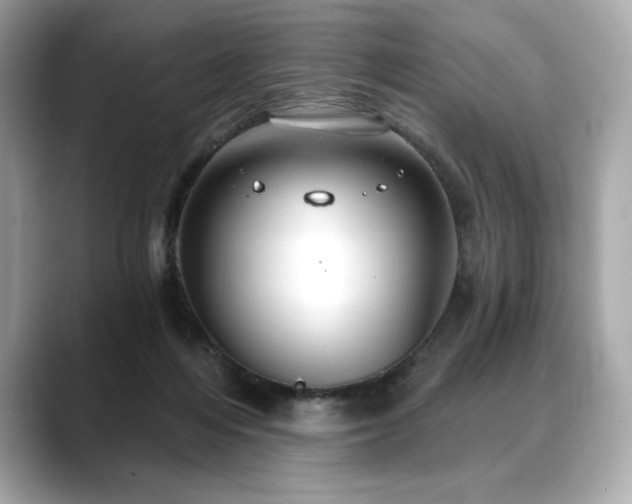 X0000088690216200705311202