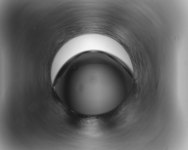 X0000088690219200705311202