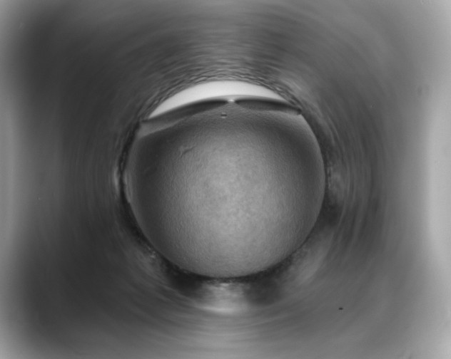 X0000088690221200705311202