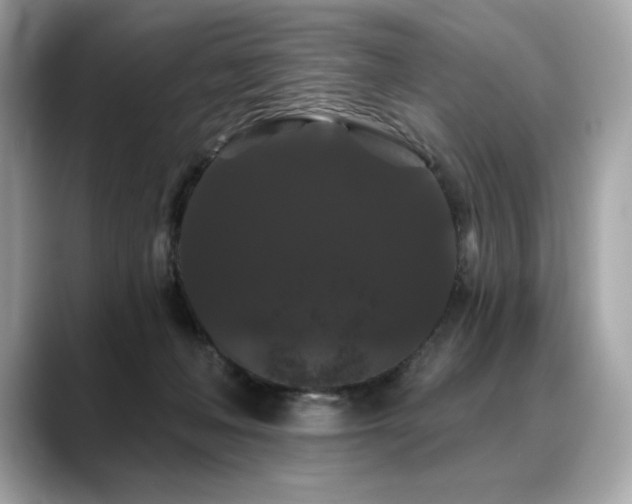 X0000088690222200705311202