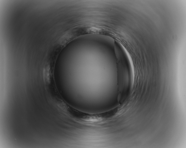 X0000088690223200705311202
