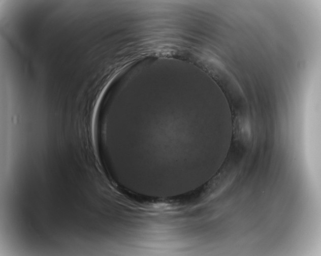 X0000088690224200705311202