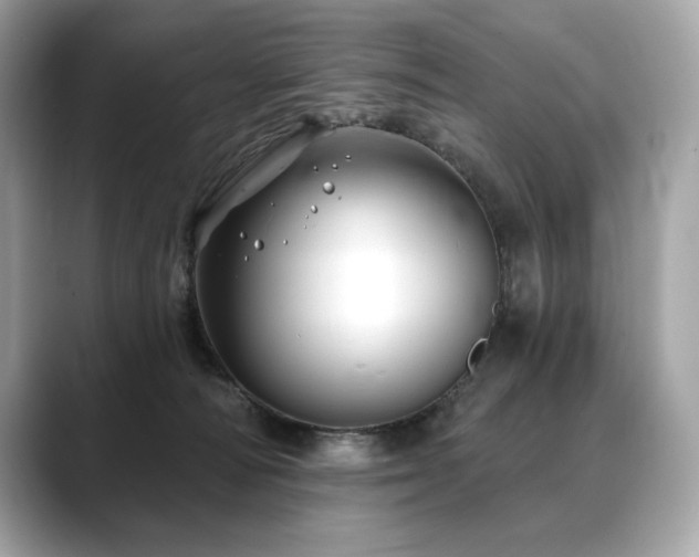 X0000088690226200705311202