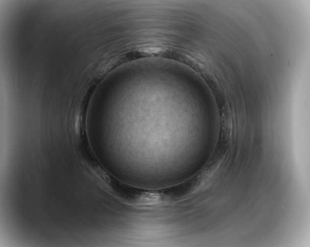 X0000088690227200705311202