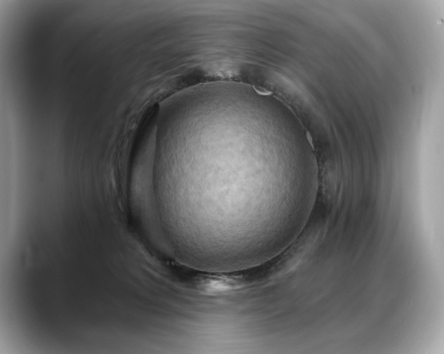 X0000088690229200705311202