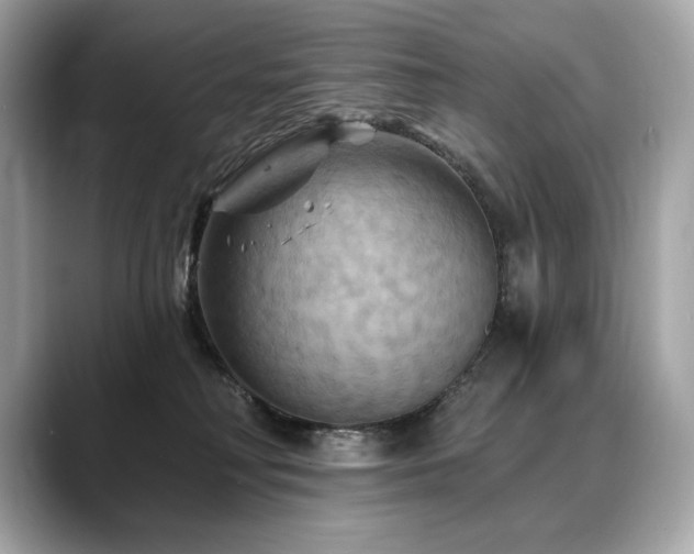 X0000088690230200705311202