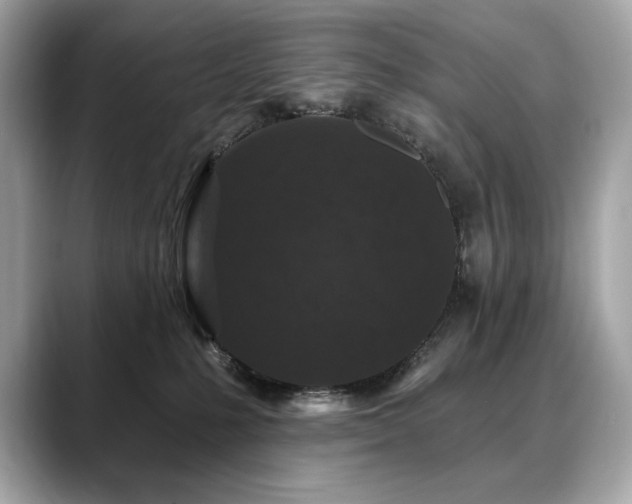 X0000088690231200705311202