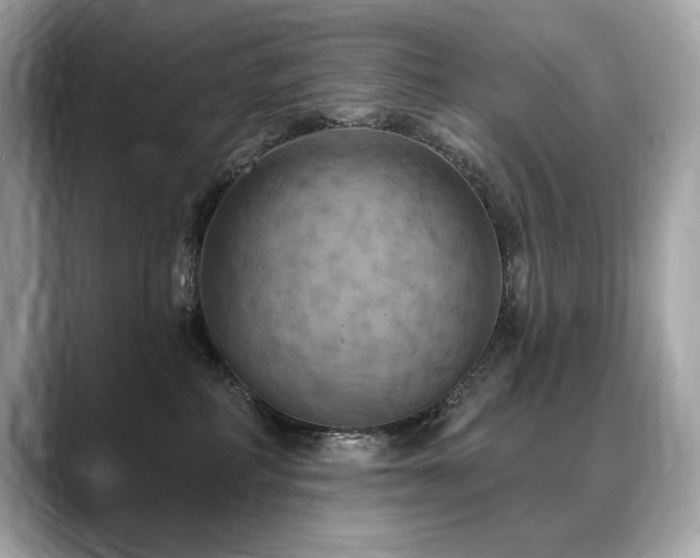 X0000088690234200705311202