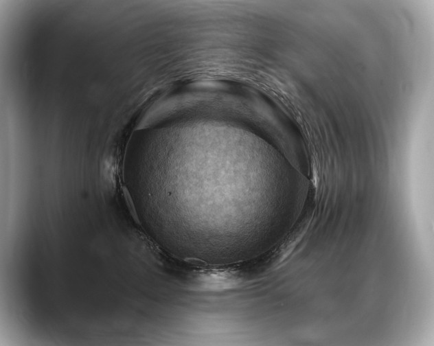 X0000088690235200705311202